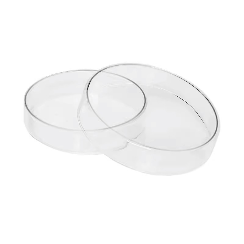 PETRI  DISH