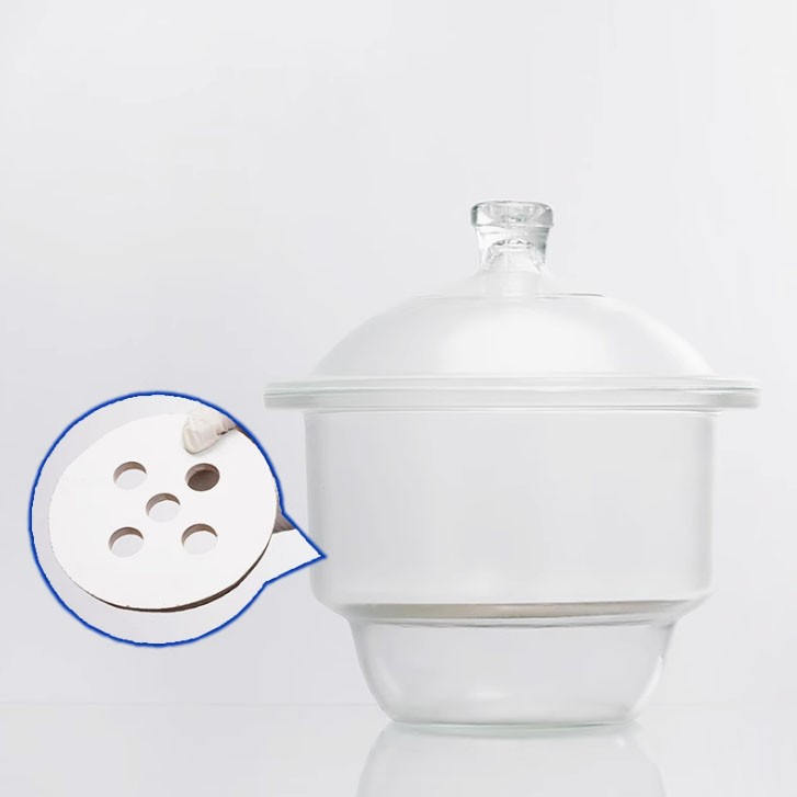 DESICCATOR With porcelain plate